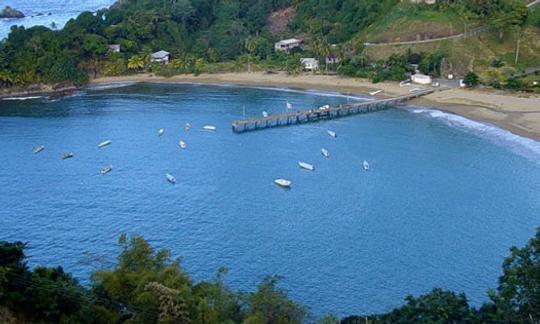 Tours de vida silvestre en Buccoo, Tobago