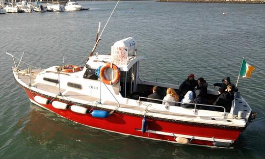 Chalutier « M.V Oriel » affrété de 31 pieds à Howth, en Irlande