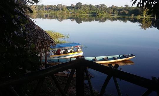 Croisières fluviales incroyables à Manaus, au Brésil