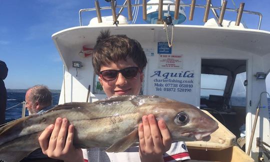 Cartas de pesca de barco “Aquila” Head de 33 pés em Mevagissey, Reino Unido