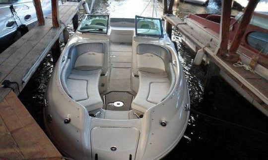 26' Sea Ray 260 Deck Boat Charter in Chicago, Illinois