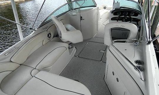 26' Sea Ray 260 Deck Boat Charter in Chicago, Illinois