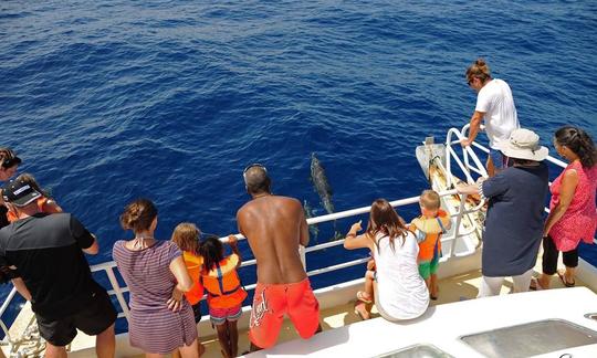 Excursions écologiques « Taonaba » en péniche à Deshaies, Guadeloupe