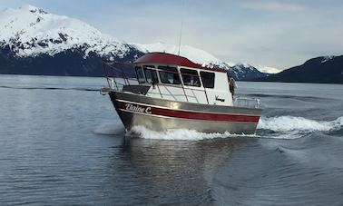 Charter the 28′ Cuddy Cabin  in Whittier, Alaska