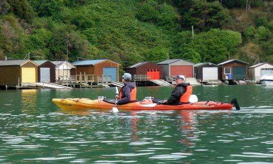 Excursions guidées en kayak à Akaroa, Nouvelle-Zélande