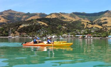 Cruise Ship Passenger Trips in Akaroa, New Zealand