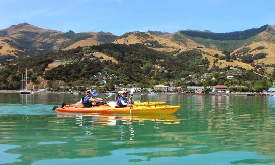 Viagens de passageiros em navios de cruzeiro em Akaroa, Nova Zelândia