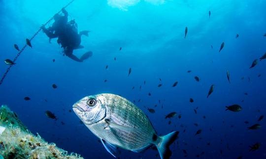 Clases de buceo en Palafrugell, España