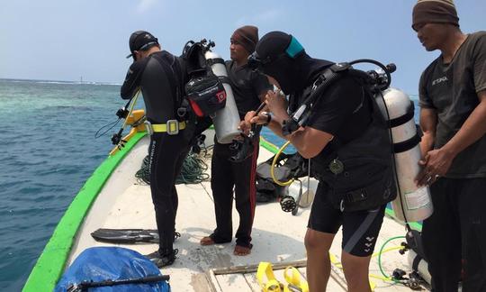 Diving Trips in North Thousand Islands, Indonesia