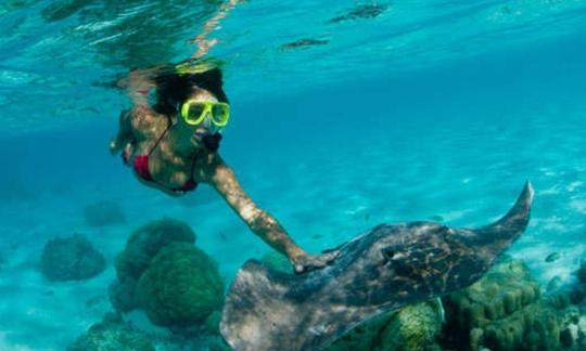 Snorkeling Trips in Ubud, Bali