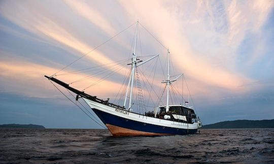 Vive a bordo de un velero de buceo en Indonesia