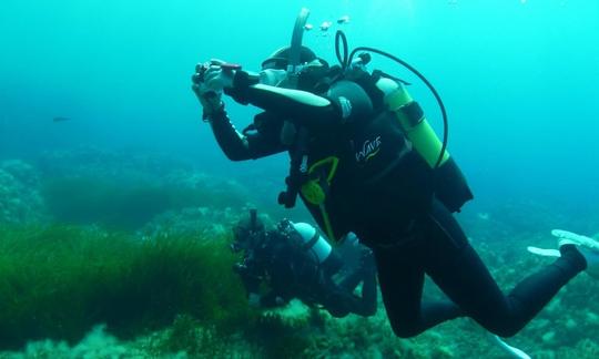 Voyages et cours de plongée à Peyia