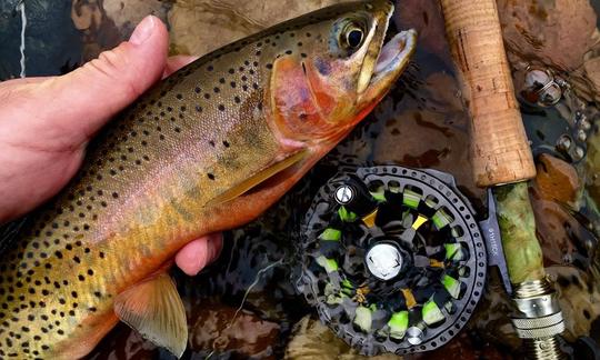 Guía y cursos de pesca con mosca en Noruega