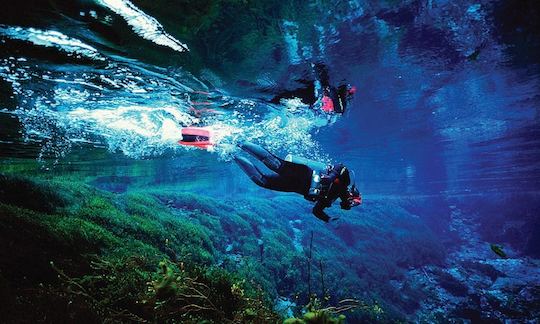 Diving Trips in Batu Caves