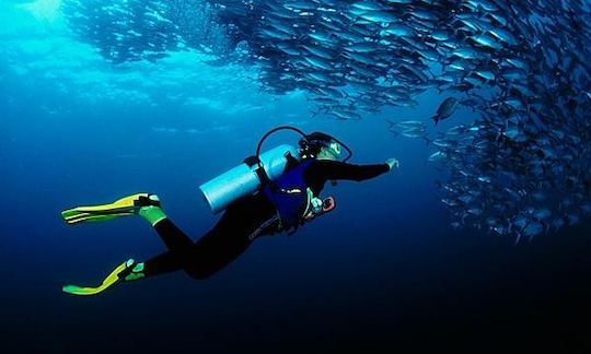 Diving Trips in Batu Caves