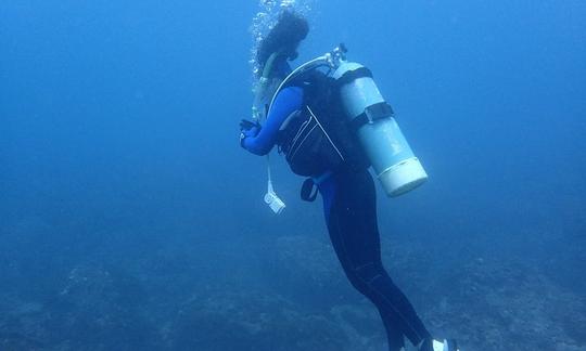 Viajes de buceo en el distrito de Nangang