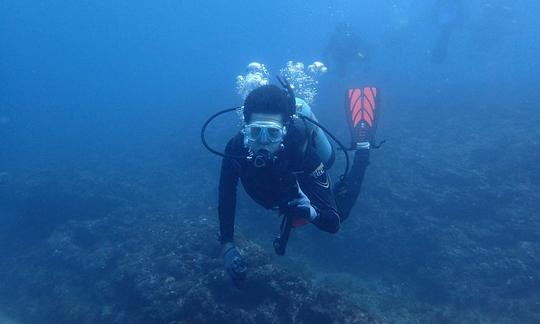 Viajes de buceo en el distrito de Nangang