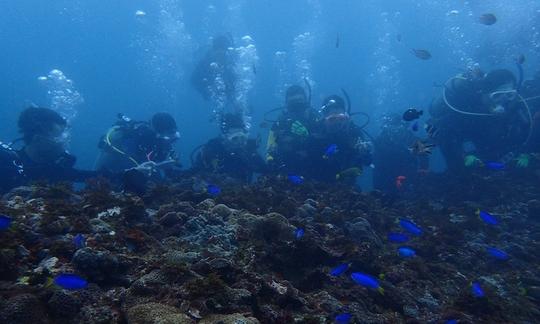 Viajes de buceo en el distrito de Nangang