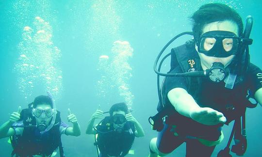 Diving Trips and Courses in Johor Bahru