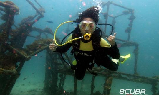 Lección de buceo y viaje de esnórquel en la isla Tioman