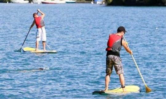 Alquiler de tablas de remo y cursos en San Martín de Valdeiglesias, España