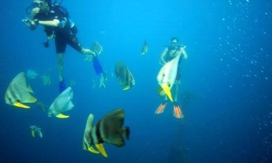 Clases de buceo en Paje, Tanzania