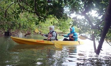 Kayak Tour in Onna-son