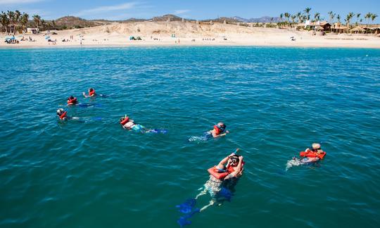 Guided Snorkel & Lunch Cruise in Cabo San Lucas, Baja California Sur