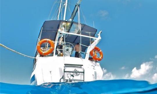 Boat Diving Trips in Cairns City