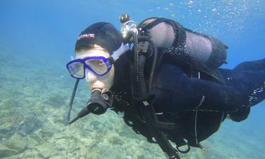 Diving Excursions and Courses in Gaios