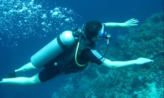 Cursos de mergulho em Gerokgak, Bali