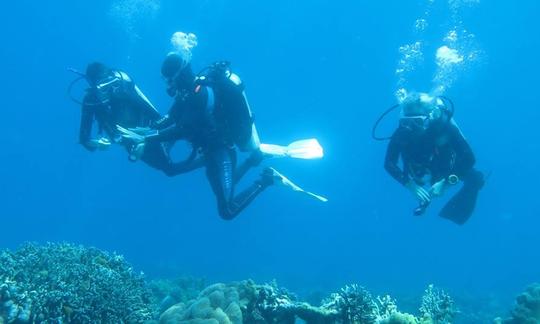 Buceo y esnórquel en las islas Apo, Filipinas