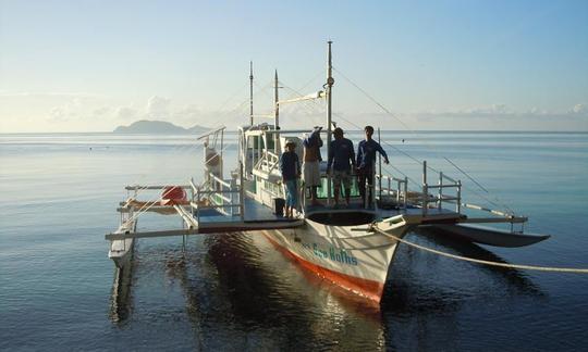 Buceo y esnórquel en las islas Apo, Filipinas