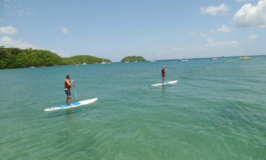 PADDLE SUP