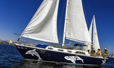 Découvrez la voile à San Diego avec un capitaine à bord d'un grand voilier privé