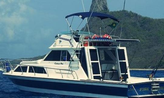 Carta de pesca de Fernando de Noronha no iate Carbras Mar de 32 pés no Brasil