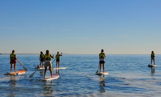 Location et cours de paddleboard à Puerto Madryn, Argentine