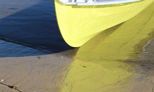 Découvrez la baie d'Arcachon, en France, sur un bateau traditionnel