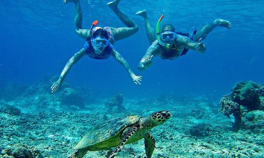 Tours de snorkel inolvidables en Surabaya, Indonesia