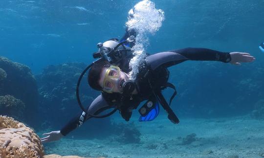 Une expérience fantastique du monde sous-marin à Eilat, en Israël