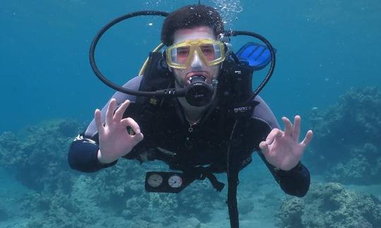 Une expérience fantastique du monde sous-marin à Eilat, en Israël