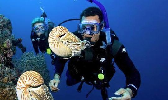 Une expérience fantastique du monde sous-marin à Eilat, en Israël