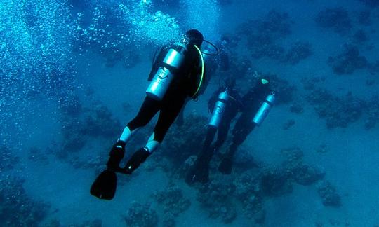 Une expérience fantastique du monde sous-marin à Eilat, en Israël