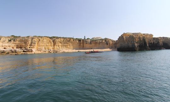 Dolphin Watching and Caves Tour Cruises in Quarteira