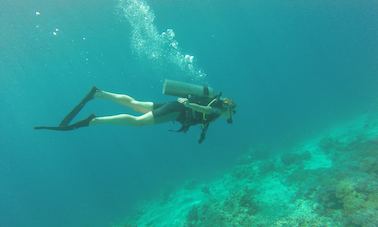 Diving Courses in Gerokgak, Bali