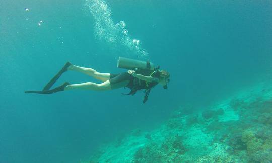 Cursos de mergulho em Gerokgak, Bali