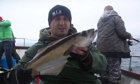 Excursion de pêche charter sur « Lady Gwen II » Lochin 33 avec le capitaine Sean dans le comté de Clare, en Irlande