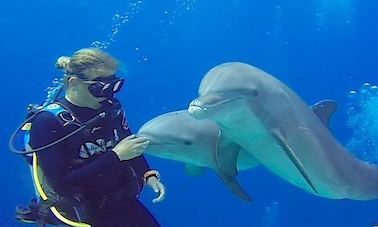 Viagens e cursos de mergulho na província do Mar Vermelho, Egito