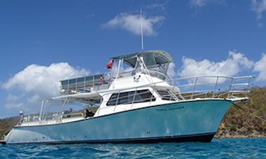 Mergulho com snorkel em barco Newton Dive/Passageiros de 46 pés em Fajardo, Porto Rico