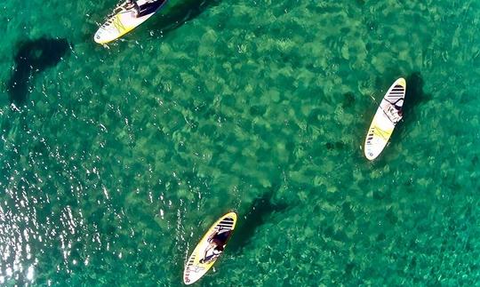 Disfruta del surf de remo en Porto Pollo, isla de Cerdeña